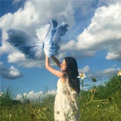 恋琴痴凤